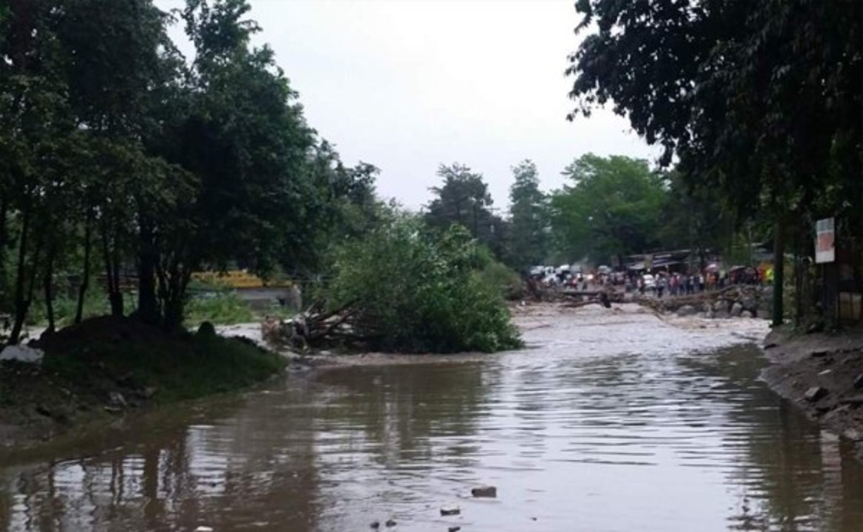 Se reportaron árboles caídos y alcantarillados dañados producto de la torrencial tormenta en la madrugada.