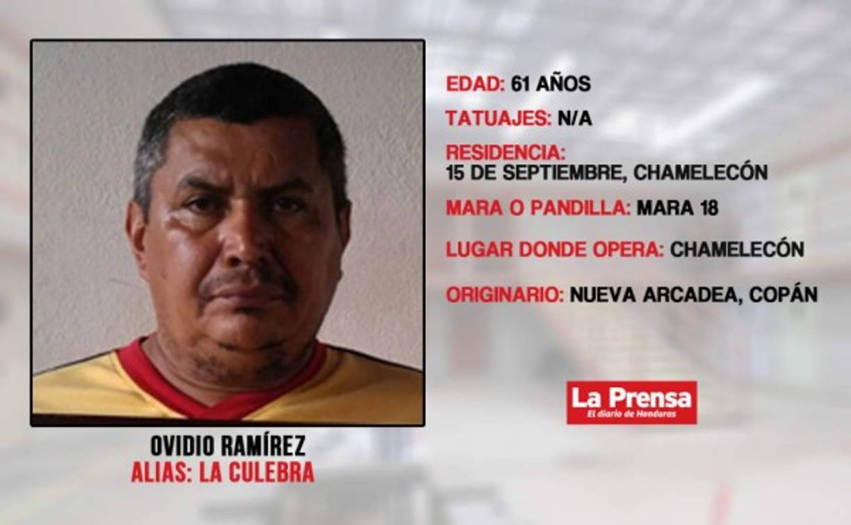 Esta persona se dedica a cobrar la extorsión a varios puntos del transporte, además de la venta y distribución de droga.