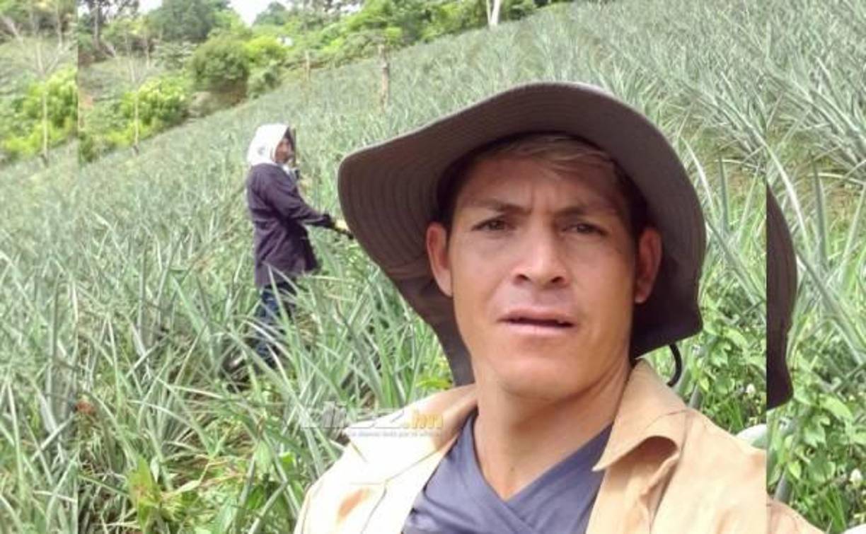 Francisco Martínez acude todas las mañanas para sembrar piña y en horas de la tarde se dedica a entrenar. Hoy la vida le sonríe con su llamado a la selección de Honduras y su fichaje por Marathón.