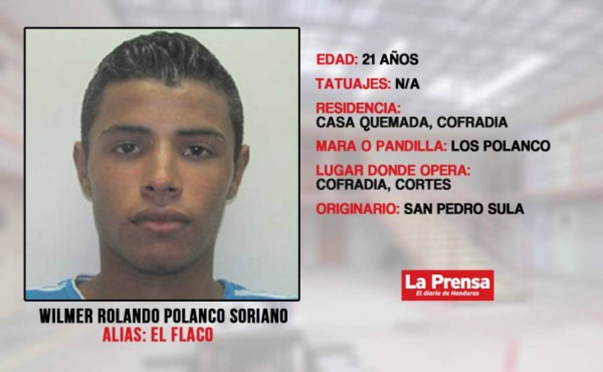Elmer Rolando Polanco Soriano, Alias El Flaco, es el jefe de la banda de los Sorianos, autor intelectual del cobro de extorsión en Cofradía, además dio muerte a un oficial de la FNA.