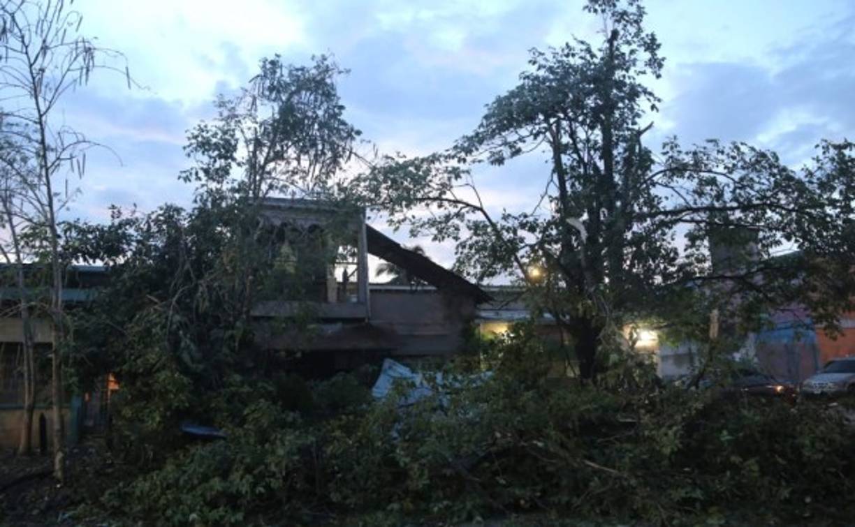 Varios árboles también cayeron frente a casas. Los bomberos se desplazaron para remover los restos, pero los daños eran demasiados.
