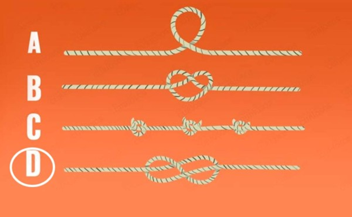 Cuerda D<br/><br/>Sos una persona que tiene la capacidad de soportar mucha presión, por ello en tu trabajo siempre te va de maravilla, aunque también tienes ideas muy firmes, por lo que nunca las cambias.