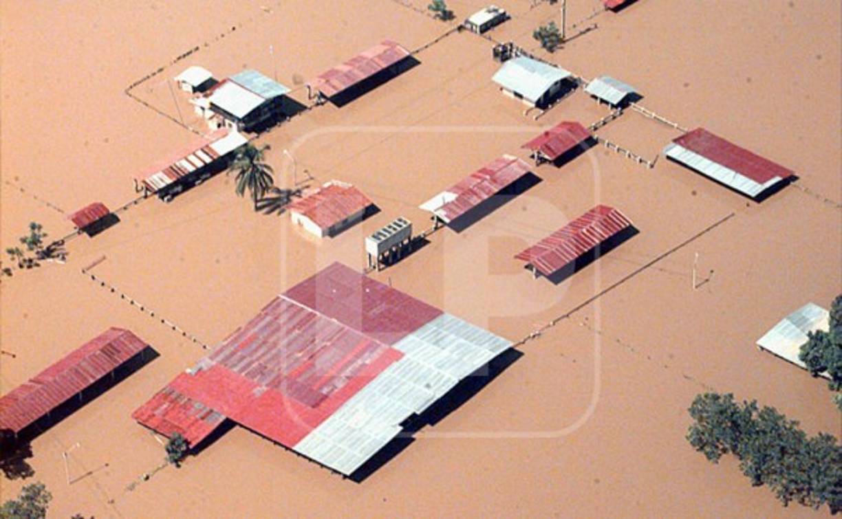 En todo el país, la tormenta destruyó unas 33,000 casas y dañó otras 50,000, sumado a esto, derribó muchos árboles dejando las laderas de las montañas vulnerables a más deslizamientos.