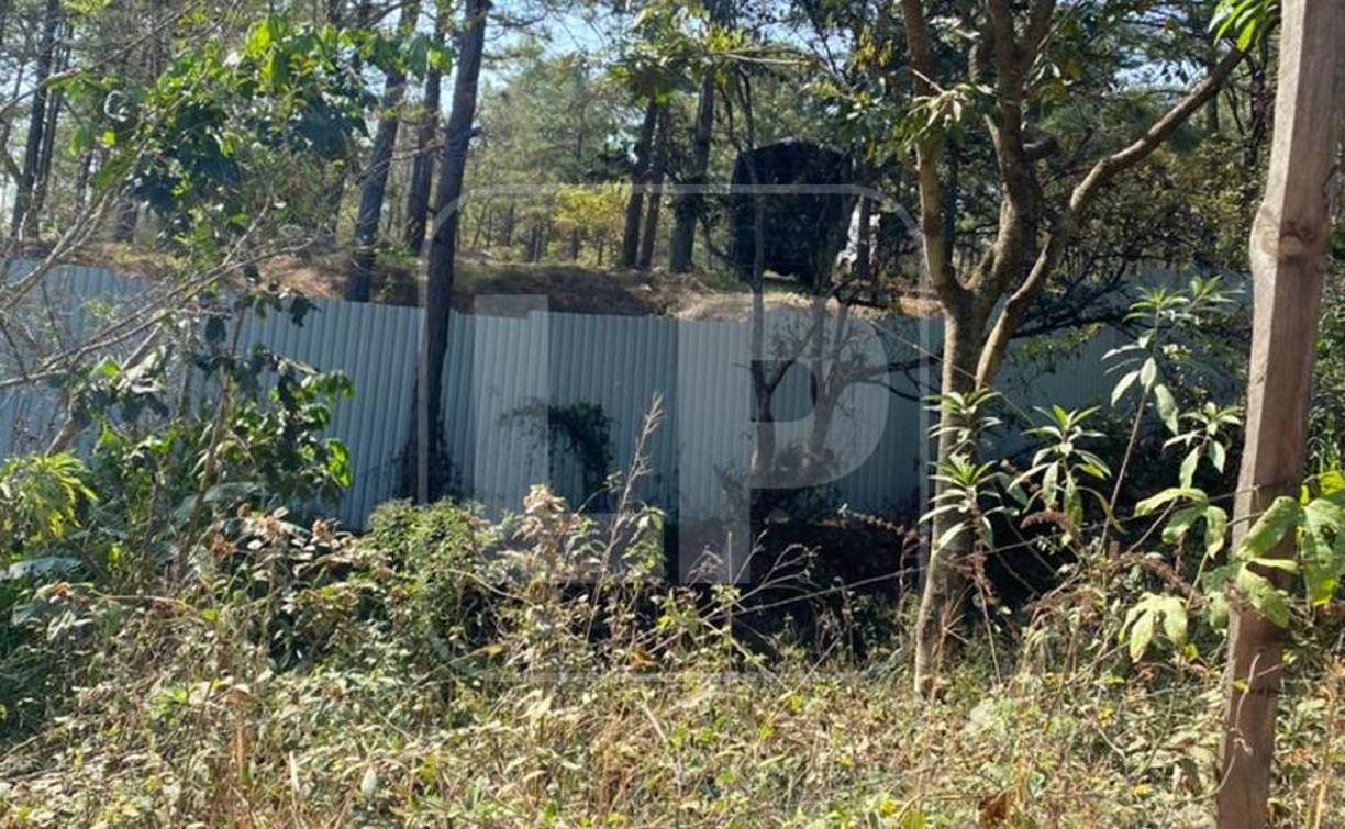 El Ministerio Público es del criterio que en relación a los bienes otorgados en dación de pago a una institución financiera, luego de iniciado el proceso de extradición, se debe examinar la debida diligencia y acreditación de una tercería de buena fe exenta de culpa. 