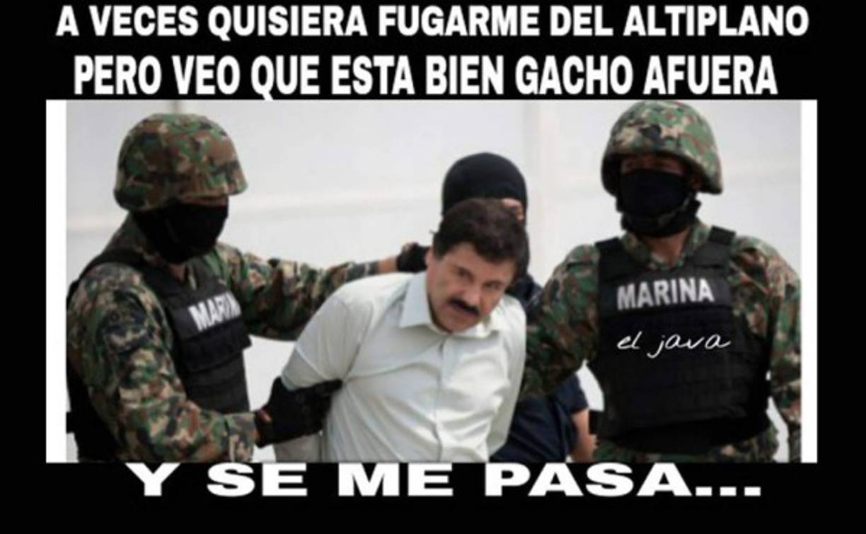 Las frases al estilo la rana René también no faltaron.