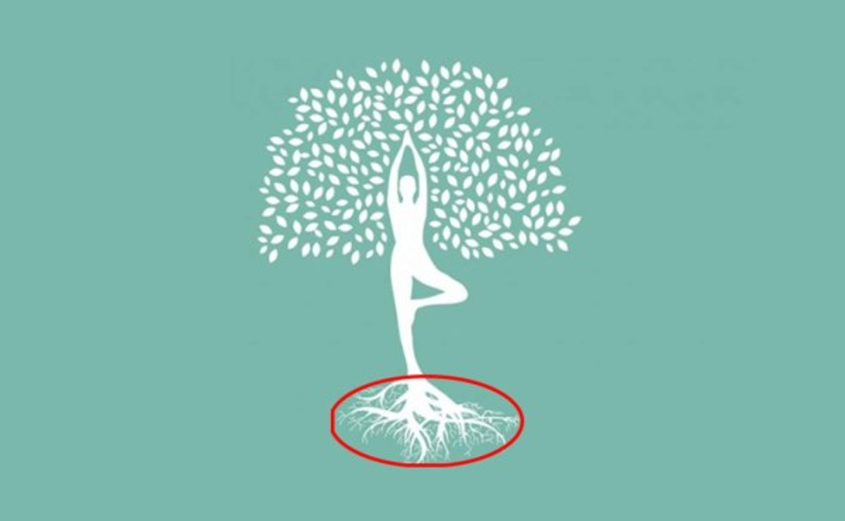 Raíces<br/><br/>Si lo que tú viste fue directamente a las extensas raíces del árbol es porque estás aferrándote demasiado a algo: situaciones que te hacen daño pero no sabes soltar. Es momento de desanclarte y salir a lugares nuevos, para encontrar la mejor versión de ti mismo.