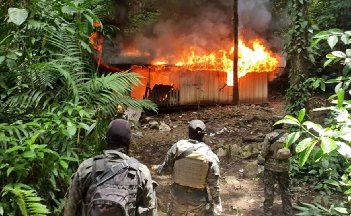 Según las autoridades, en esta acción participaron cuatro jueces ejecutores nombrados por juez jurisdiccional, un Fiscal de la Fiscalía Contra el Crimen Organizado (FESCCO), quienes se trasladaron al parque Nacional Sierra Rio Tinto, específicamente en el caserío denominado la Danta, Iriona, Colón.