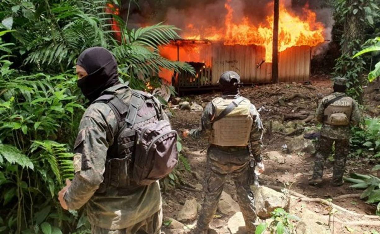 La Dirección Nacional Policial Antidrogas (DNPA) procedió a la destrucción de unas 100,000 plantas de coca, así como dos laboratorios para extracción de pasta de clorhidrato de cocaína y demás químicos utilizados en proceso de elaboración.