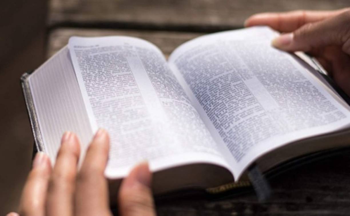 La razón de celebrar el día de la biblia en esta fecha es que en un día 26 de septiembre de 1569, se terminó de imprimir totalmente la Biblia en español llamada la 'Biblia del Oso', Se llamaba así porque la tapa de esta Biblia tenía un oso comiendo miel desde un panal. La 'Biblia del Oso' fue traducida por Casiodoro de Reina. Esta traducción, que posteriormente fue revisada por Cipriano de Valera, dio origen a la famosa versión 'Reina Valera' que es muy usada en los pueblos de habla hispana.