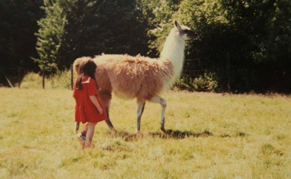 Amante a la naturaleza.