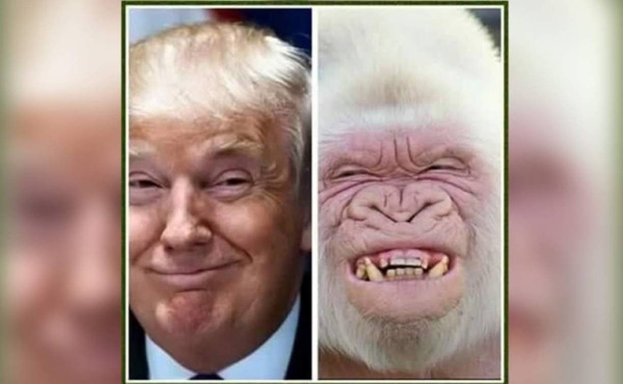 El multimillonario ha sido comparado con varios animales, esta vez con un orantugan