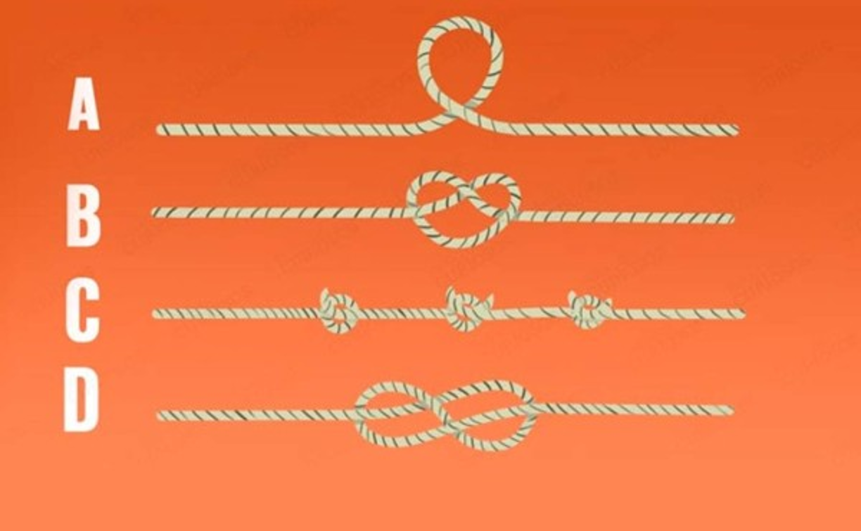 Realiza este test psicológico, elige a simple vista que cuerda es más larga y descubre el nivel de inteligencia que tienes.