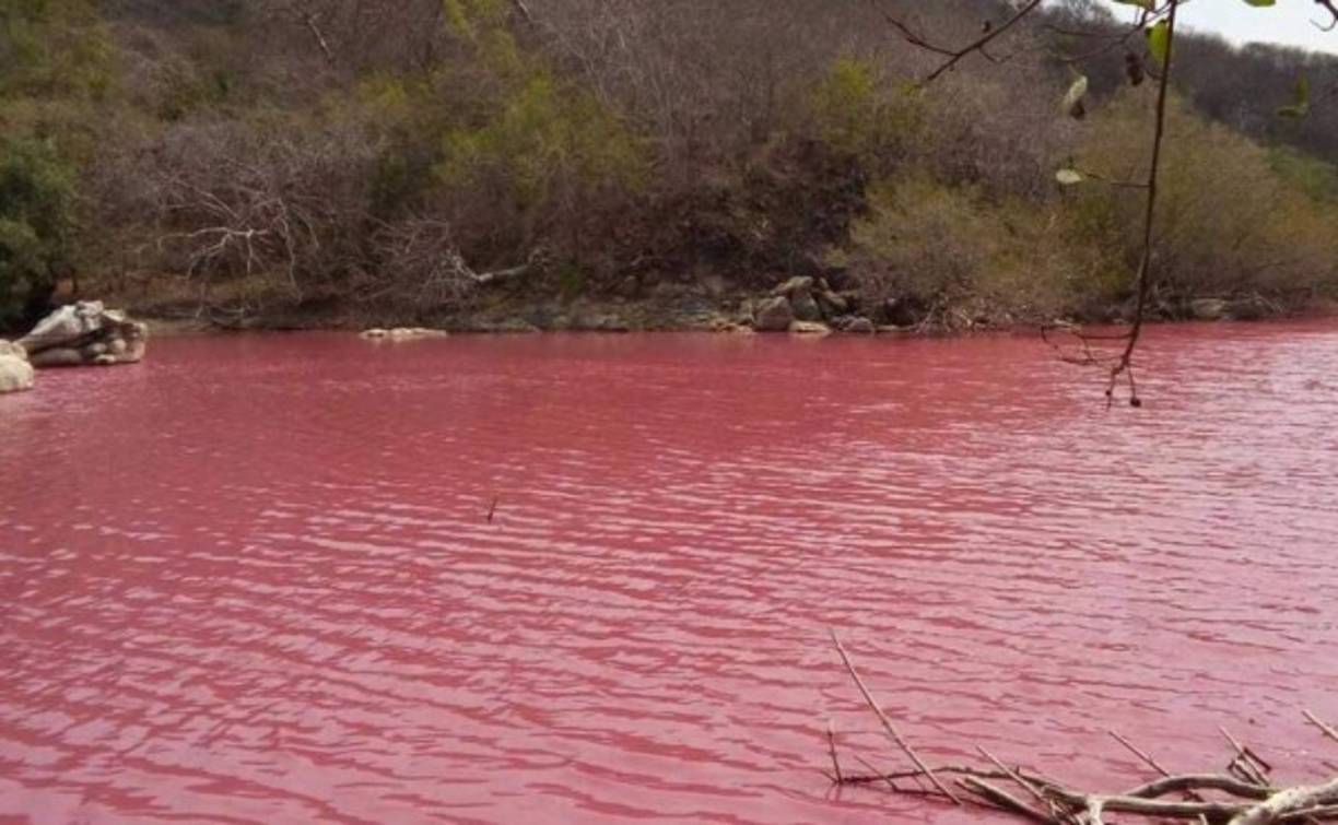 LAS 12 PLAGAS DE EGIPTO: Éxodo 7, 8 y 9 relatan la salida de Israel de la esclavitud en Egipto, Dios utilizó a Moisés para dicho acontecimiento. Mientras eso acontencía el corazón del Faraón estaba endurecido y por tal razón Dios usó 12 plagas para que este cediera a dejarlos ir. Hubo mortandad, el Nilo se convirtió en sangre, plagas de langostas, infecciones, serpientes entre otras.