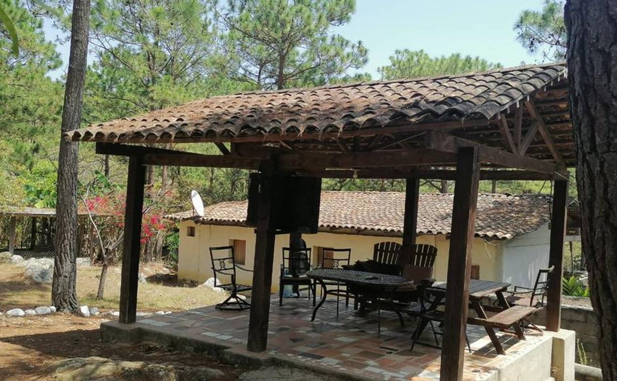 La mayoría de bienes asegurados e incautados son en Lempira. 