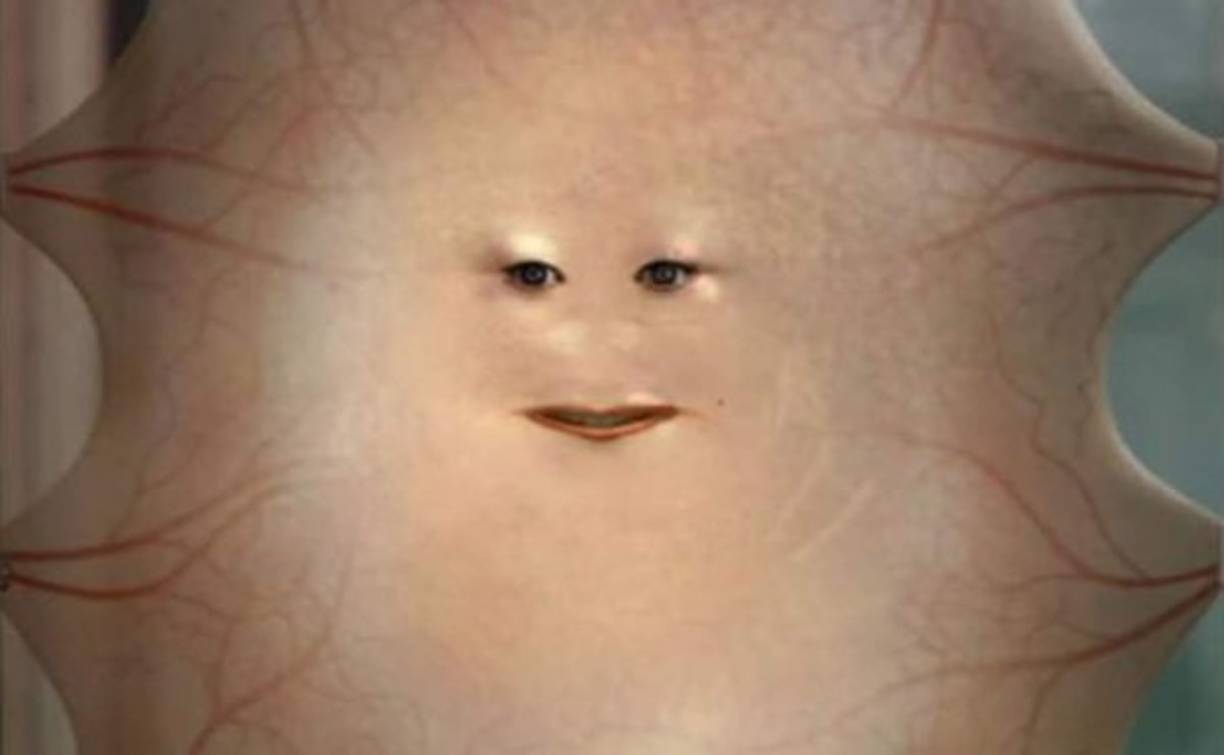 Tras la aparición nueva de Camilo Sesto. Los usuarios hicieron una serie de memes sobre su rostro.