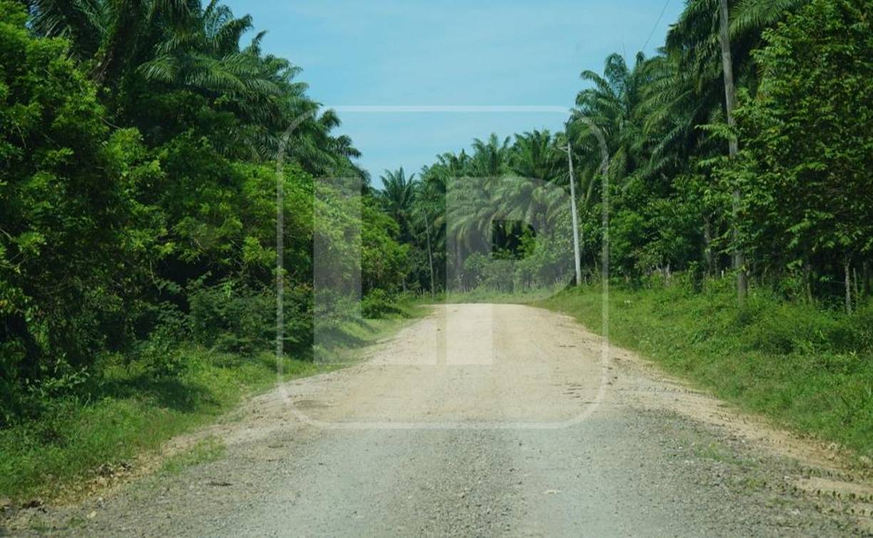 Los victimarios dejaron abandonado el carro, les dispararon a los tres agentes y luego los remataron con balazos en la cabeza cuando se salieron de la patrulla. 