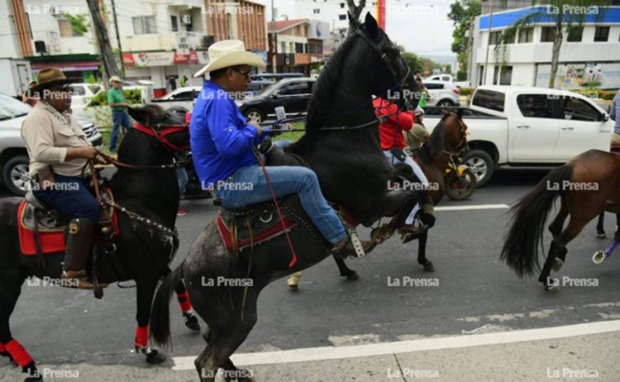 Los jinetes mostraron sus destrezas y sus caballos no defraudaron. El desfile fue un espectáculo para el público.