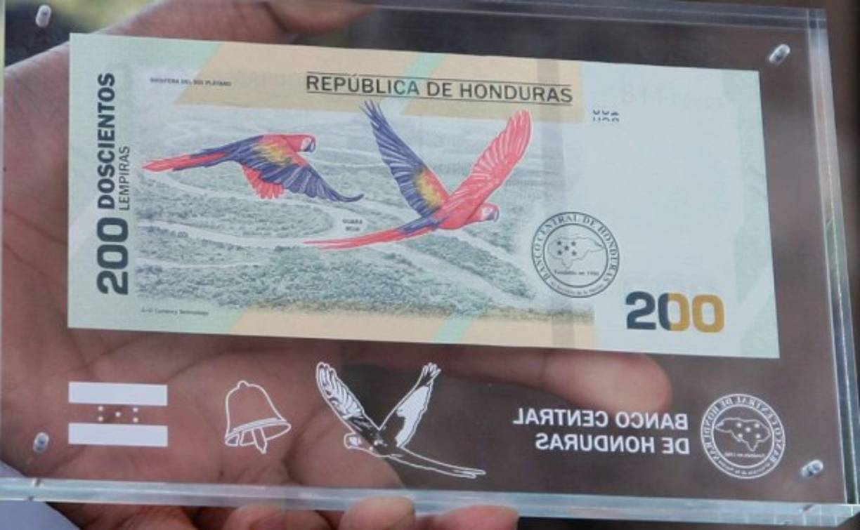 La reserva de la biosfera del Río Plátano entró a formar parte en junio de 2011 del Patrimonio Mundial en Peligro de la agencia de la ONU para la Educación, la Ciencia y la Cultura (Unesco).