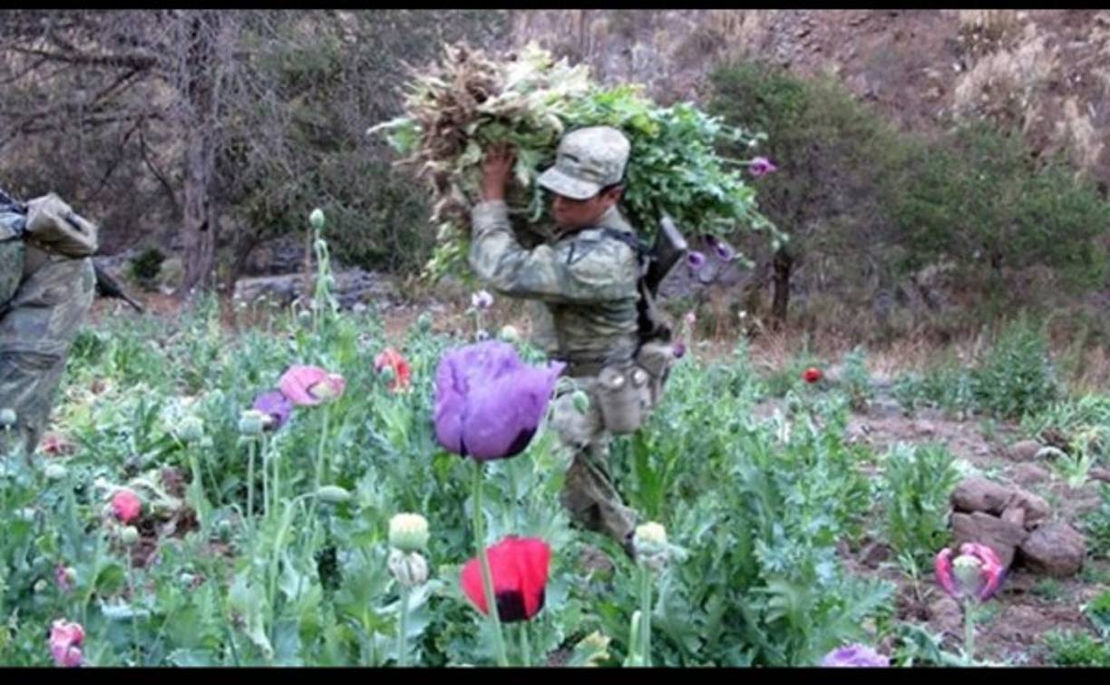 El 'triángulo dorado' está formado por los estados de Sinaloa, Durango y Chihuahua, y es una codiciada región para los cárteles del narcotráfico ya que está considerada el área de mayor producción de amapola y marihuana en México.