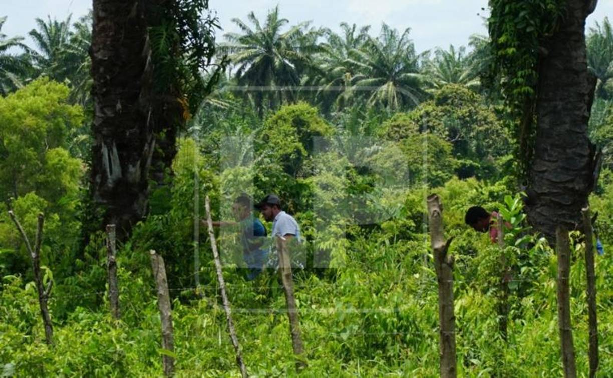 “Estaban girando la patrulla para dar la vuelta cuando fueron atacados desde la parte trasera por varios hombres armados con fusiles”, dijo una fuente policial.