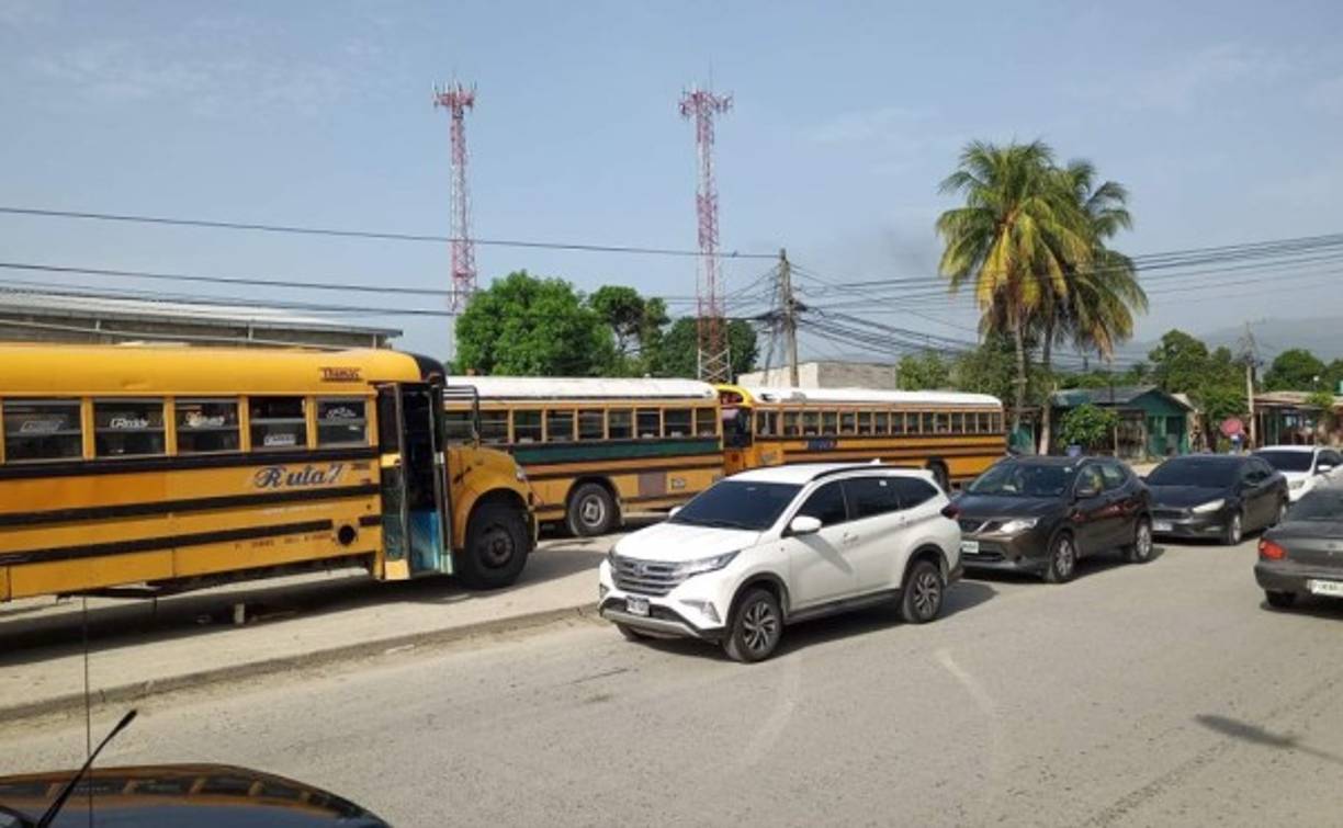 Los transportistas advirtieron que de no llegar a acuerdos con el Gobierno mantendrán paralizadas las unidades.
