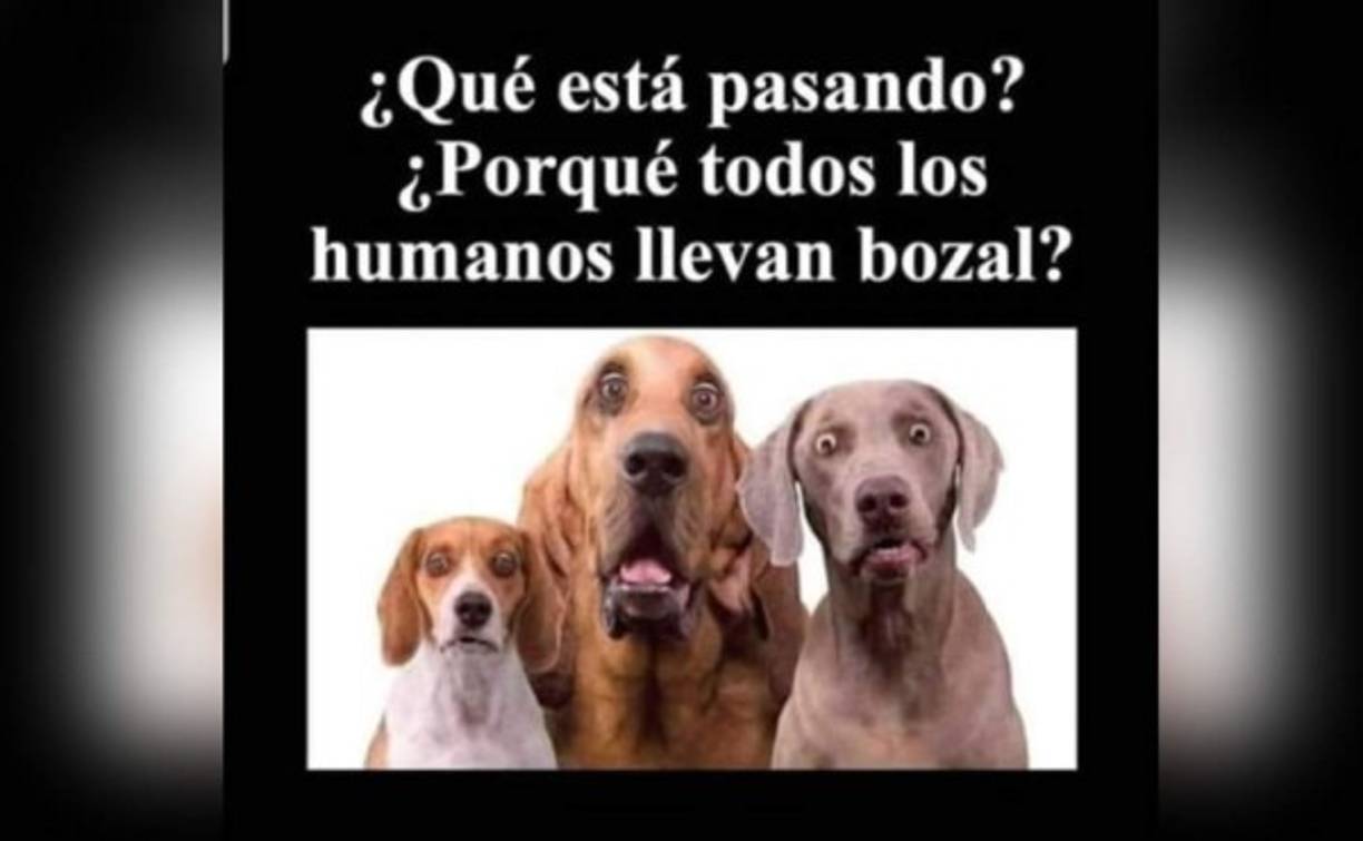 A continuación te dejamos una selección de memes hecha por periodistas de LA PRENSA, esperando que entre ellos esté su meme favorito.