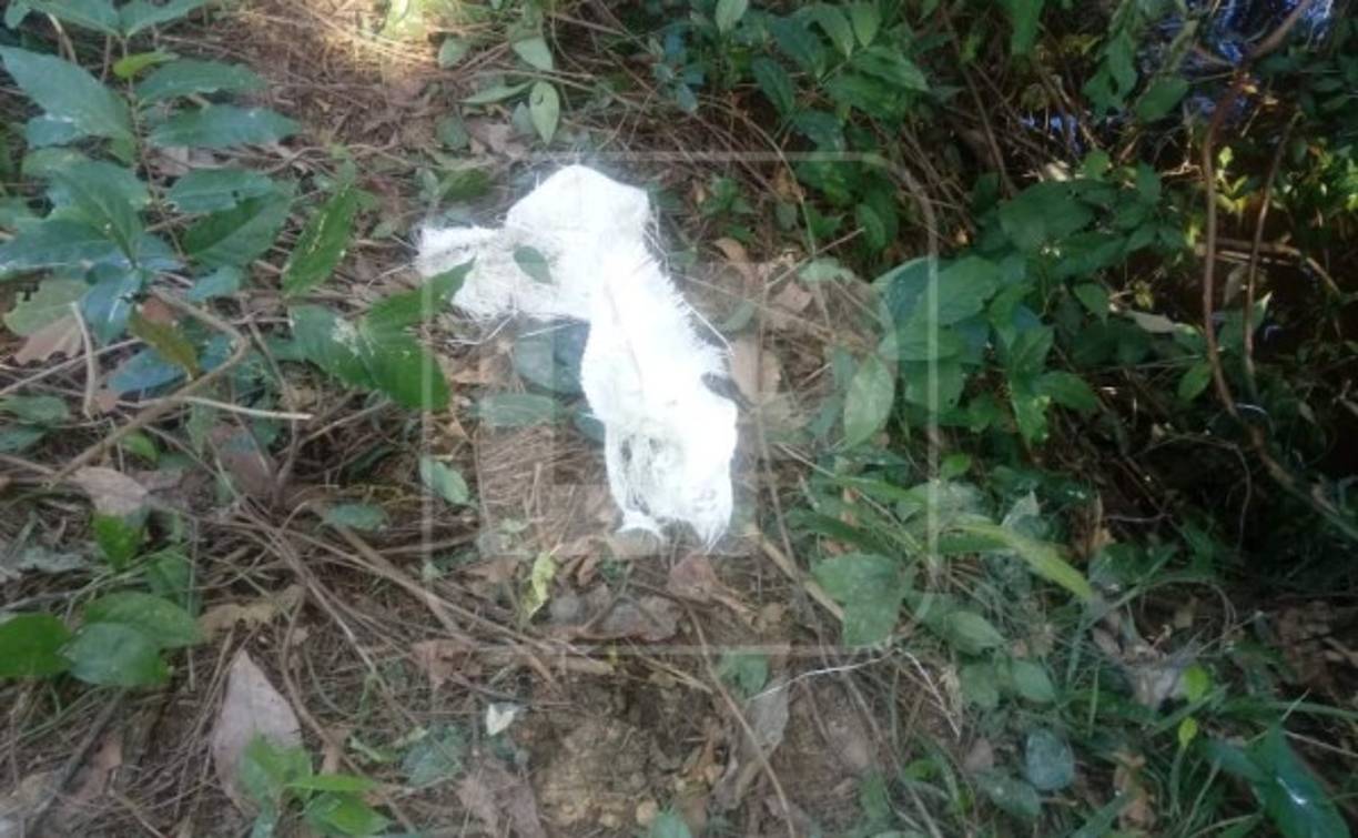 Entre los restos de la avioneta se encontró un paquete roto con polvo blanco, presunta cocaína.