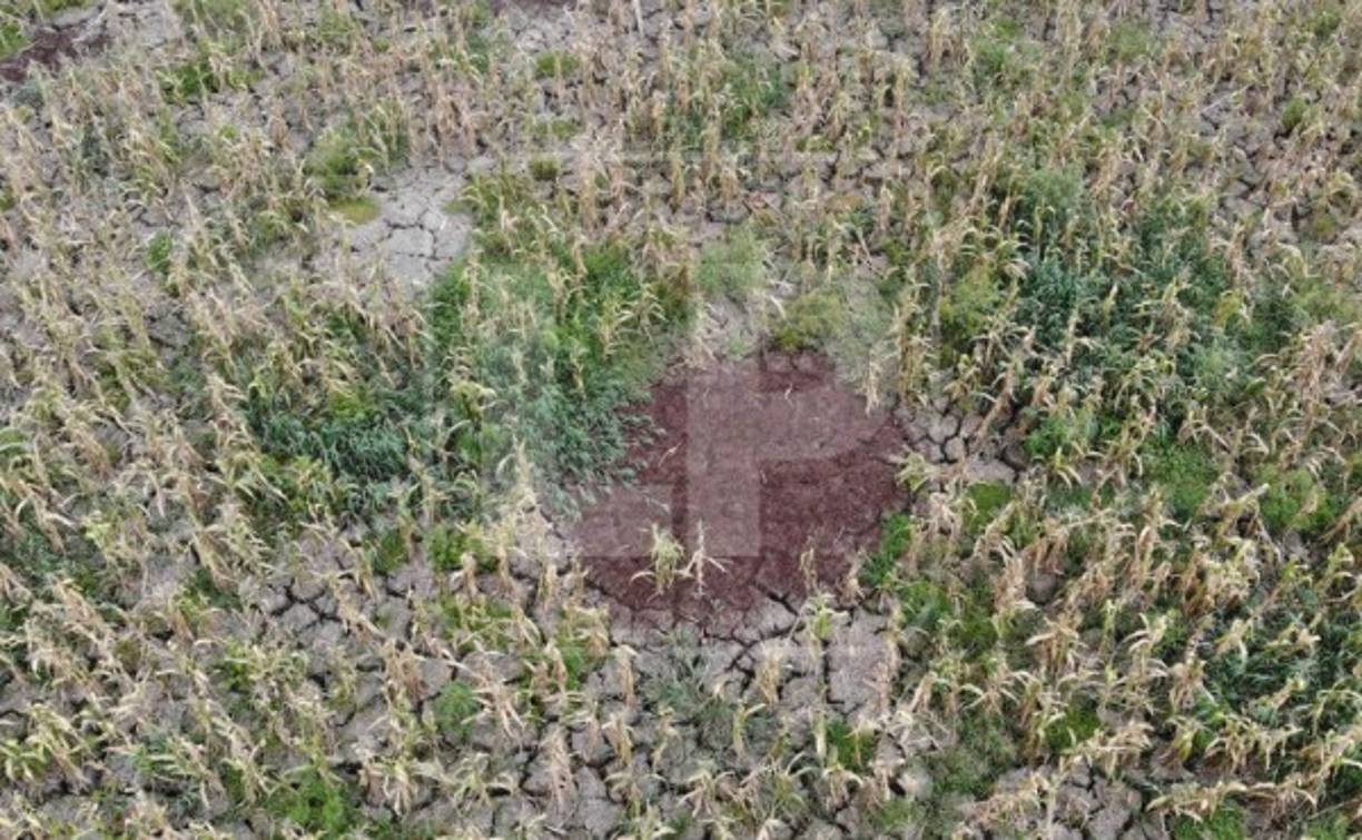 Las imágenes de cómo quedó la laguna son tristes; sin embargo, ambientalistas creen que se puede salvar, pero las autoridades no se han pronunciado.