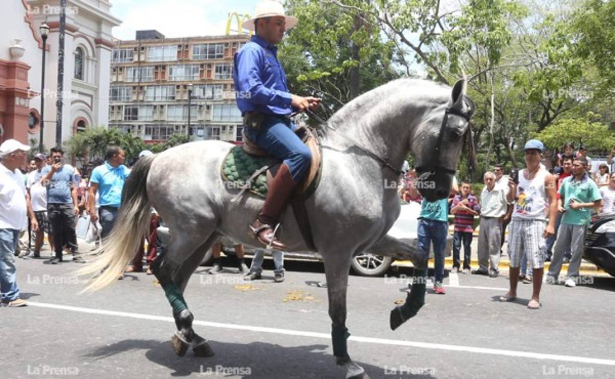 Con sus galopes sincronizados, hicieron su show por las calles sampedranas.