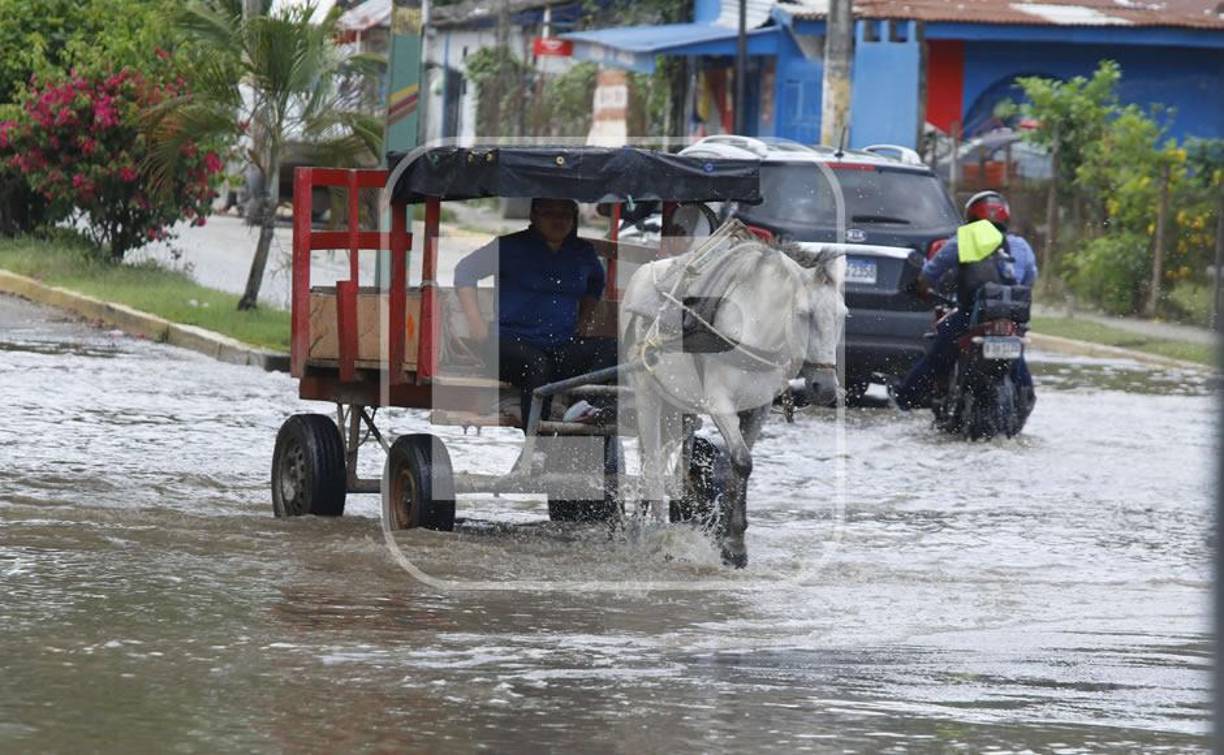 María Gómez, quien puso una carpa en la colonia Filadelfia, expresó su temor de vivir algo similar a lo de Eta y Iota en 2020, “en ese momento perdimos todo, ahora salimos de la casa solo con lo básico y dispuestos a perder nuestras cosas”. Lester Gómez, vecino de La Mesa, comentó que él y su familia salieron desde hace días de su casa y colocaron sus cosas en una casa de dos plantas.