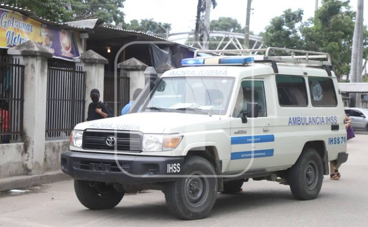 Designar presupuesto para la adquisición de nuevos vehículos y la reparación de los existentes. 