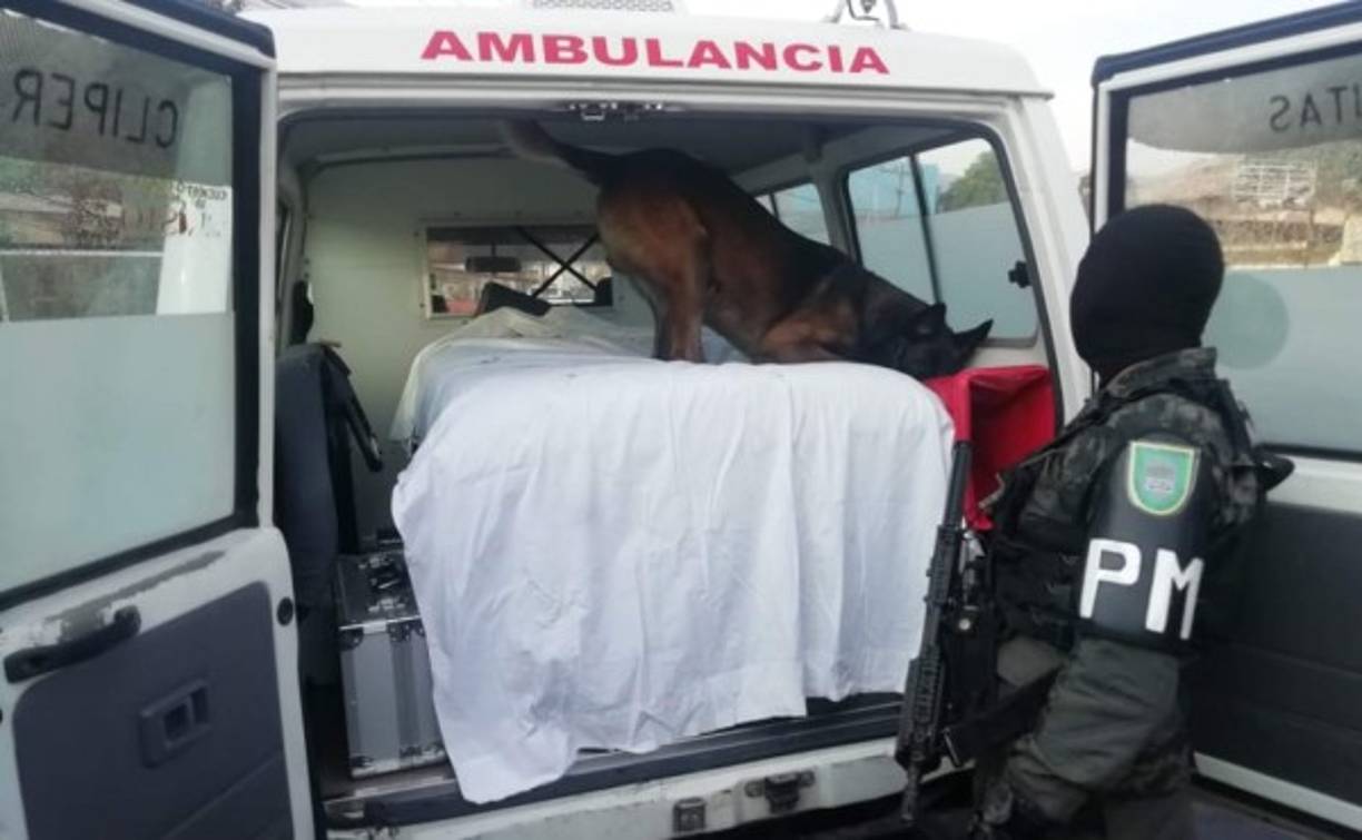Ambos fueron arrestados luego de trabajos de inteligencia que venían desarrollando equipos especiales de la Fuerza Nacional Anti Maras y Pandillas bajo la coordinación de la unidad de Microtráfico del Ministerio Público.