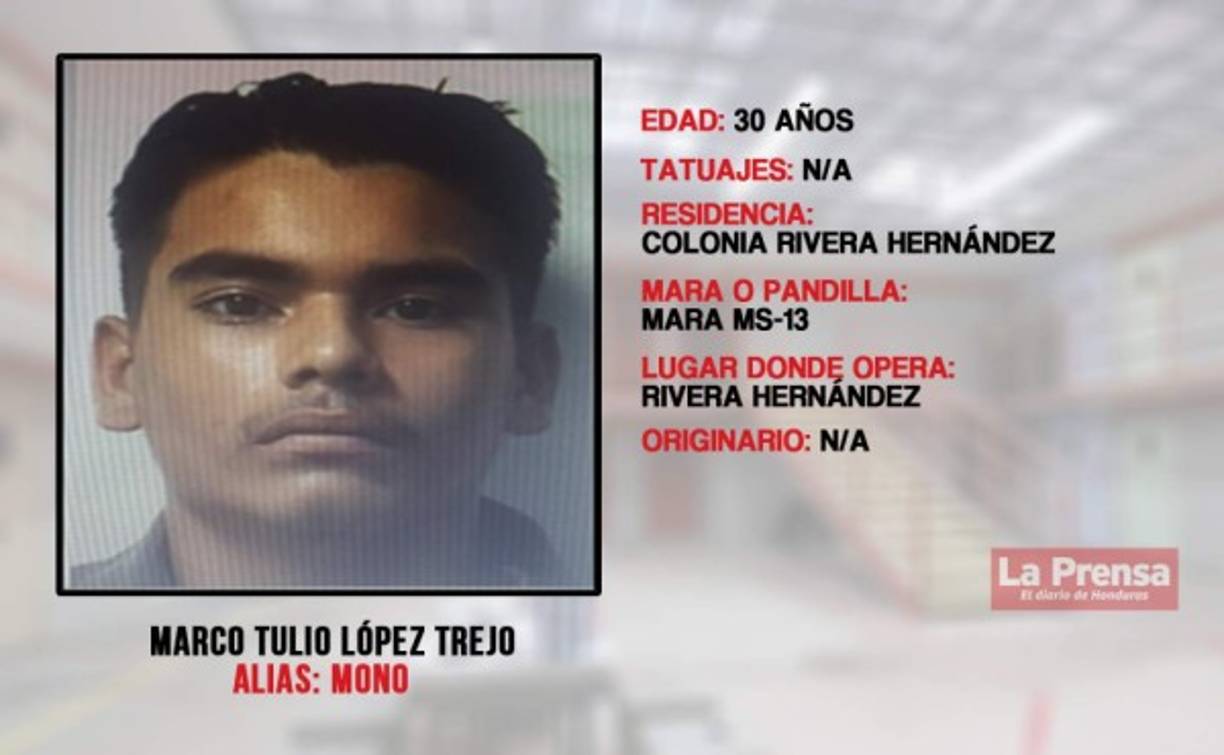 Recluta jóvenes para integrar la mara. Además es acusado de sicariato y portación ilegal de armas.