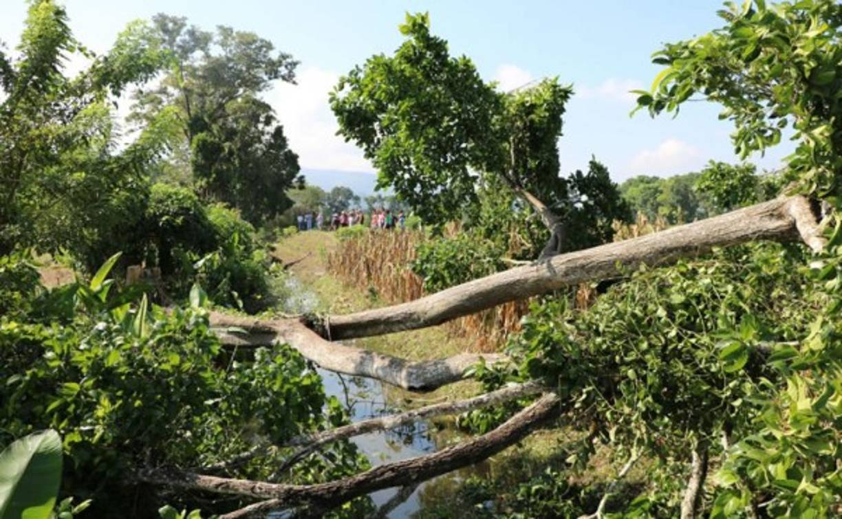Zona donde se estrelló la avioneta en hacienda El Jiote de El Progreso, Yoro.