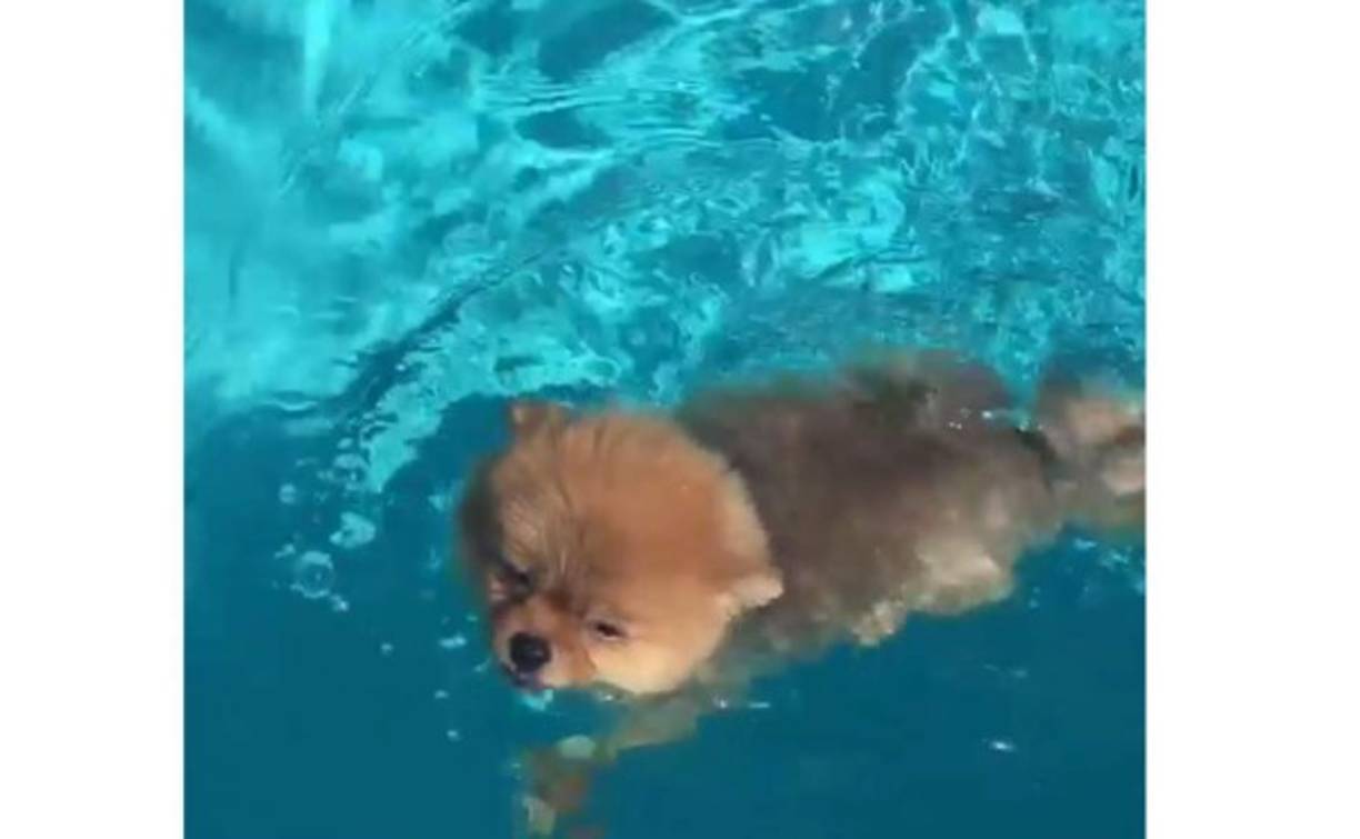 Thalía comparte fotos de su bebé Amorcita Love.