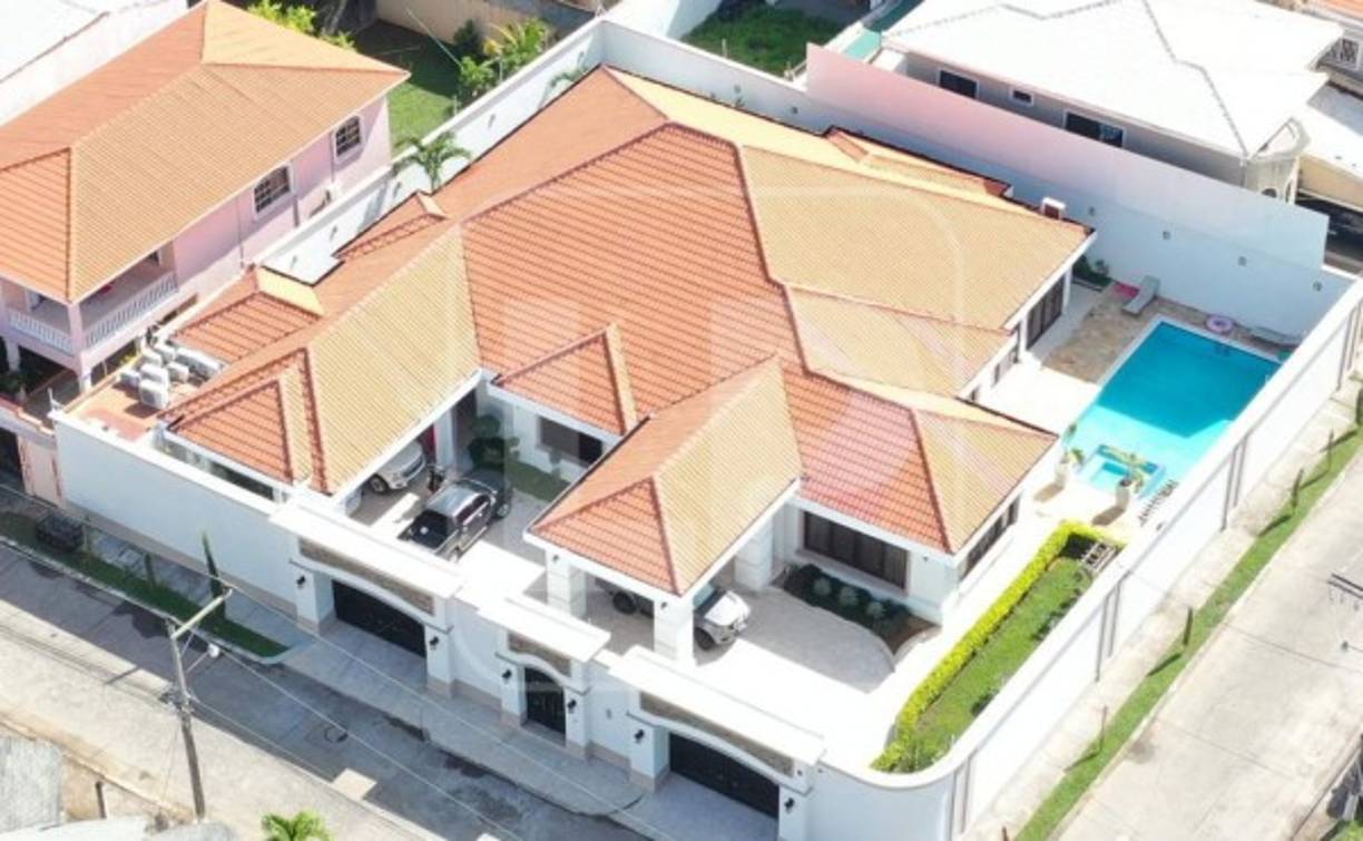 Desde ese momento se perfiló, según las autoridades, como uno de los máximos líderes de todo lo relacionado al tráfico de drogas a gran escala en Honduras, sobretodo después de la extradición del jefe del cartel del Atlántico Wilter Blanco condenado a 20 años de prisión en EEUU y con Sergio Neptaly Mejía Duarte condenado a cadena perpetua por una Corte de Miami.