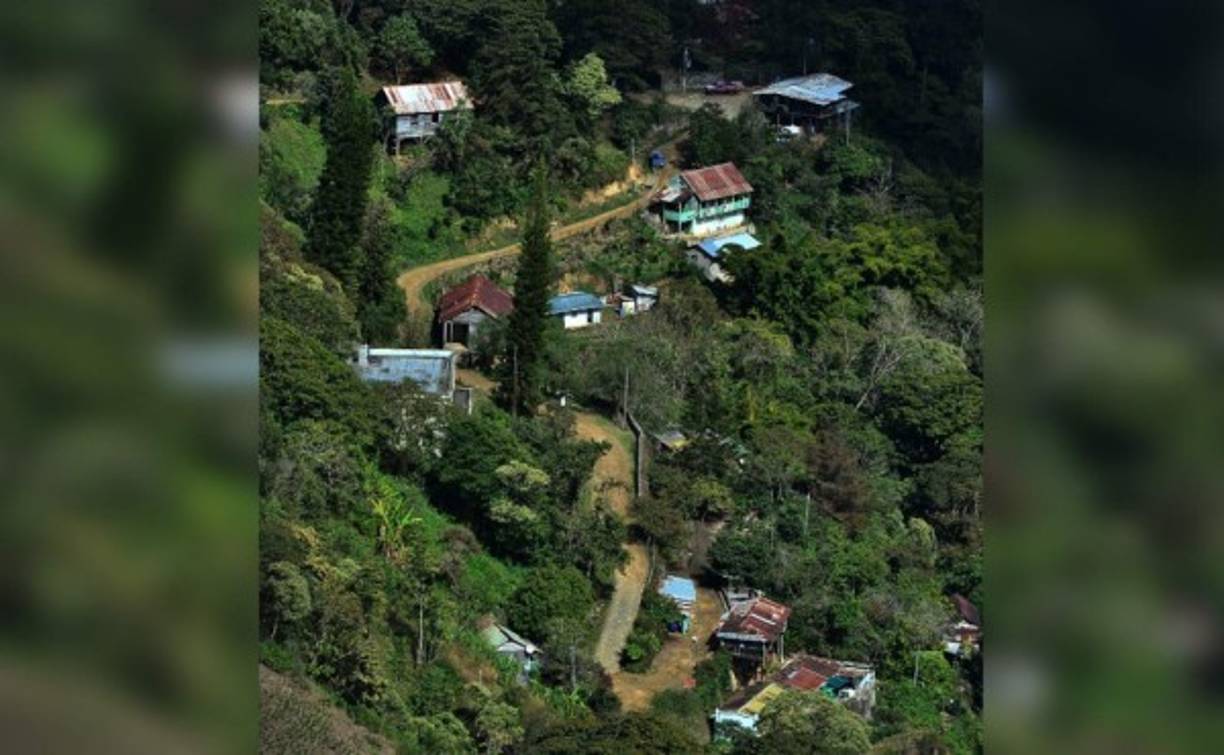 Destacan también árboles frondosos que lograron crecer durante décadas y tienden a desaparecer las viviendas de tablas podridas por el paso de los años en las laderas de la montaña.