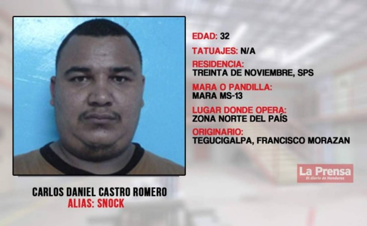 Portación de arma prohibida, posesión ilegal de arma comercial, asociación ilícita y facilitación de local para consumo de droga.