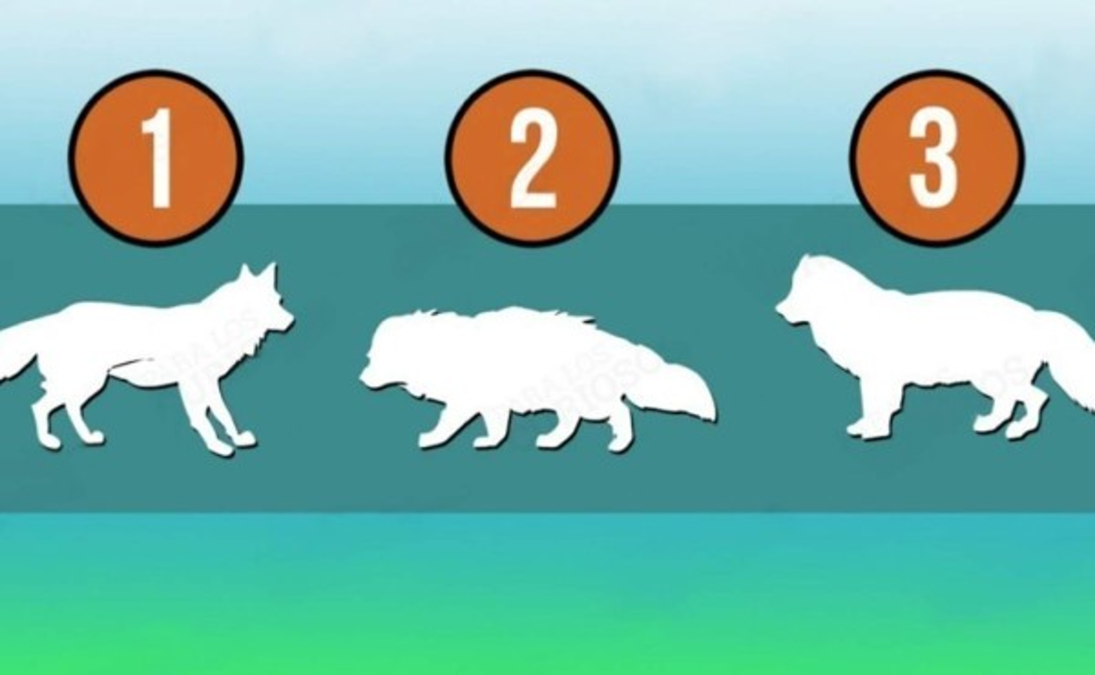 Realiza este test psicológico: ¿Qué es animal más fuerte?, tu respuesta revela algo de ti