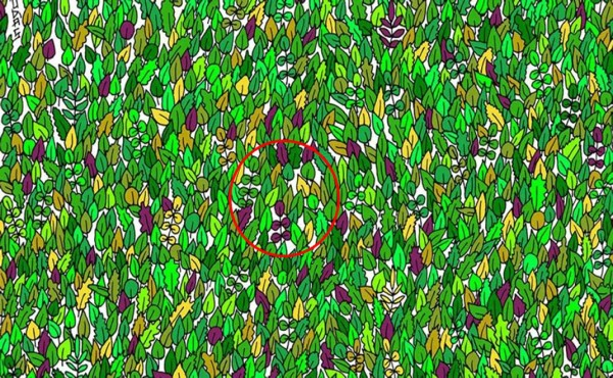 ¡Frío, frío! Muchos ususarios en redes sociales no han podio completar este reto debido a la complejidad del mismo.