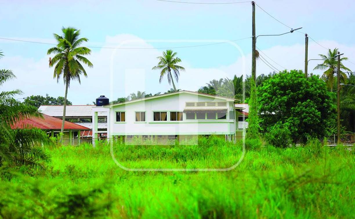 Ese es el caso de la finca Cuacu, donde los campesinos solo pueden estar en los alrededores de unas 200 hectáreas, pues las restantes 450 hectáreas están en poder de un grupo de hombres armados con escopetas que han marcado una frontera para que nadie pase.Los obreros se han apostado por una de las entradas principales que lleva a la carretera CA 13 recorriendo al menos unos 40 minutos por el Aguán.