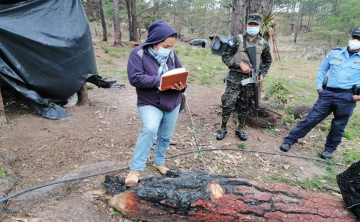 Por el supuesto delito de explotación ilegal de recursos naturales se efectúan inspecciones en la aldea Llano Grande, San José, La Paz.