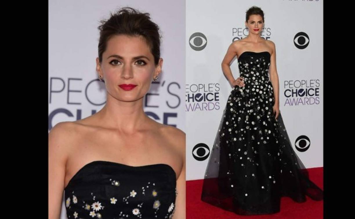La actriz Stana Katic lució un vestido de Carolina Herrera.