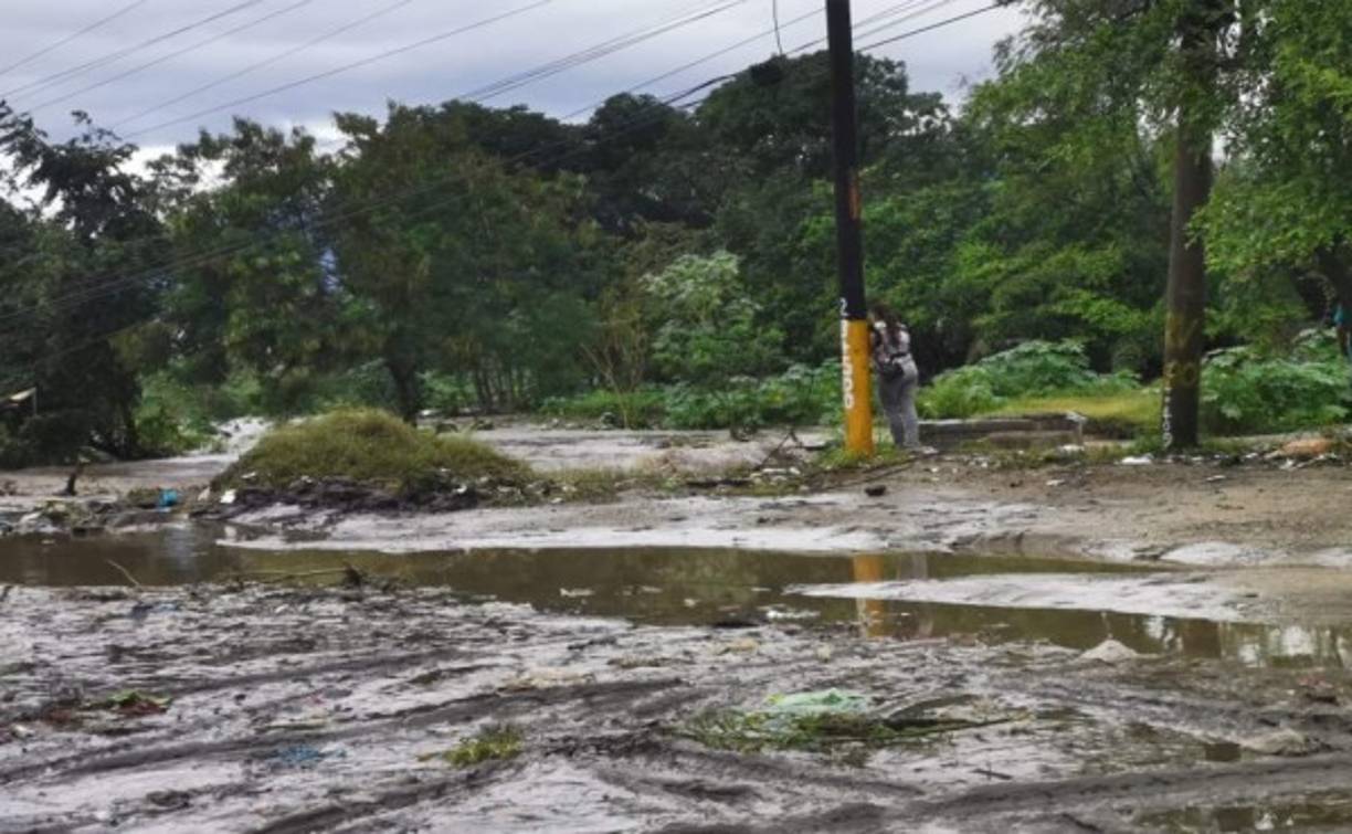 Desde el pasado viernes, Cenaos pronosticó que una masa de aire frío traería consigo algunas lluvias.