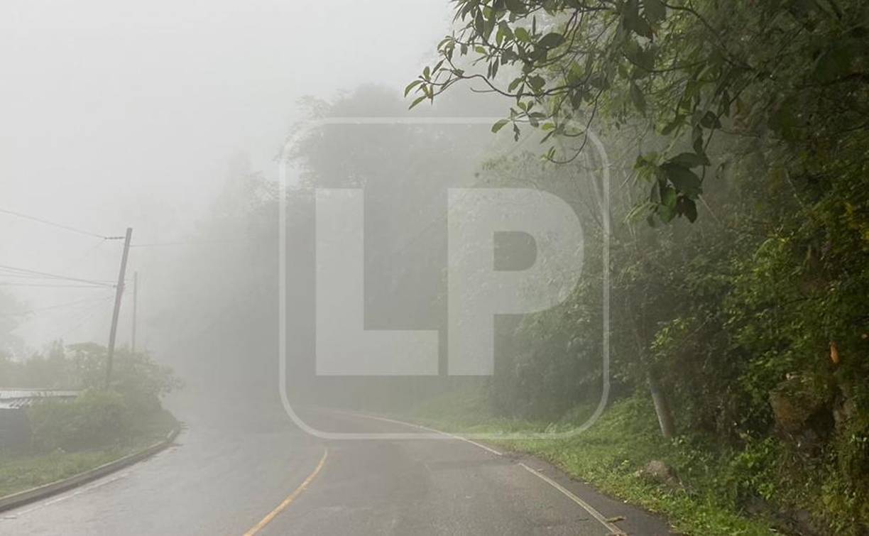 La cuña está afectando principalmente las zonas norte, centro, oriente y occidente. 