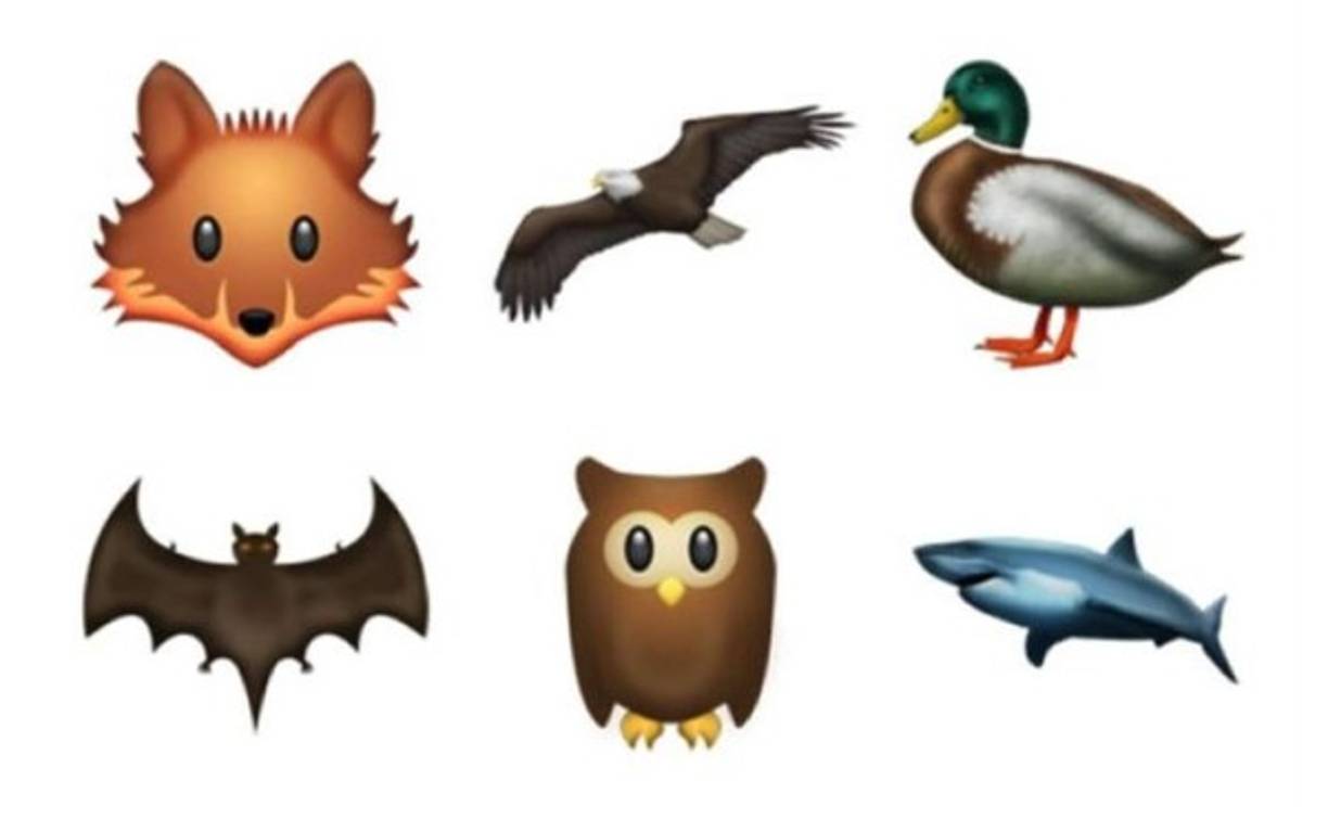 A los animales se unen un zorro, una águila, un pato, un murciélago, un búho y un tiburón.