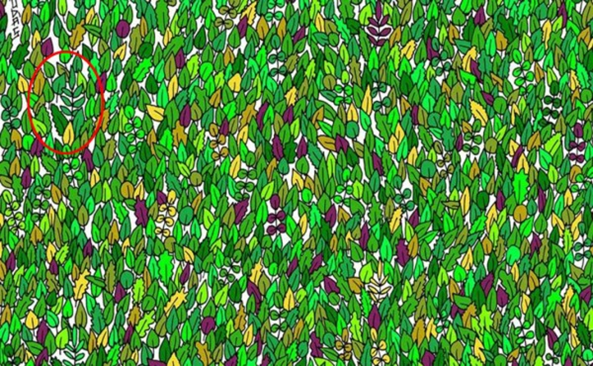 Te daremos unas pistas. No te fies por los círculos rojos ya que los hemos puesto para despistarte un poco.