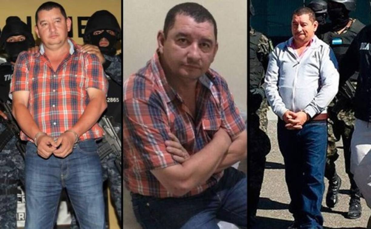 Luis Alonso fue capturado junto a Miguel Arnulfo Valle Valle en la aldea El Porvenir de Florida, Copán, y extraditados a Estados Unidos el 19 de diciembre de 2014.