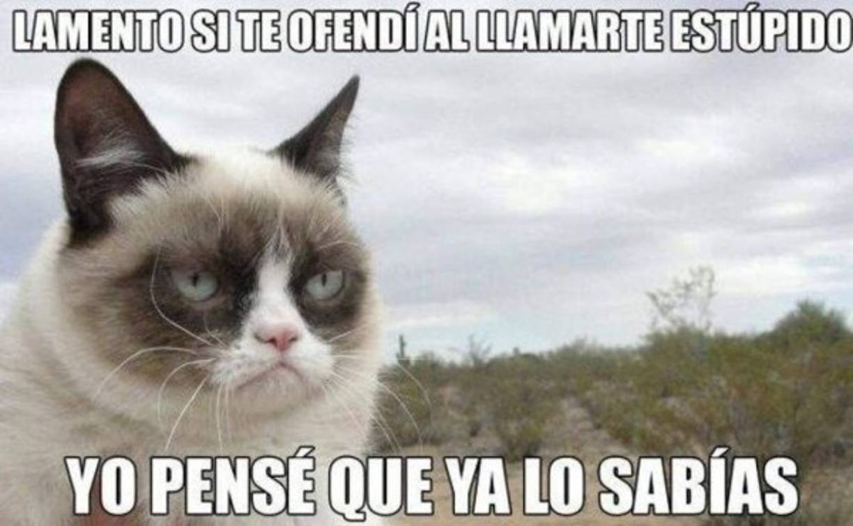 'Además de ser nuestro bebé y un adorado miembro de la familia, Grumpy Cat ha ayudado a millones de personas a sonreír en todo el mundo, incluso cuando las cosas estaban difíciles. Su espíritu continuará viviendo a través de sus fans en todas partes', señaló su 'mamá'.