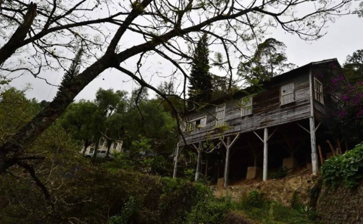 Más de sesenta años después de que la empresa estadounidense Rosario acabara la explotación de los ricos yacimientos de oro y plata en Honduras, la tierra se recupera lentamente en la exuberante reserva forestal de La Tigra.